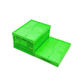 Caixa de dobramento plástica verde personalizada Mesh Body dos PP + parte inferior contínua