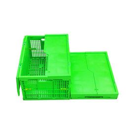 Caixa de dobramento plástica verde personalizada Mesh Body dos PP + parte inferior contínua
