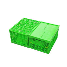Caixa de dobramento plástica verde personalizada Mesh Body dos PP + parte inferior contínua