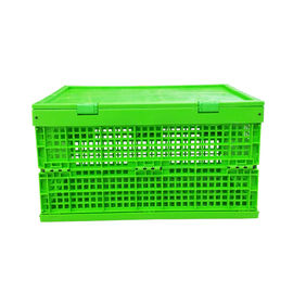 Caixa de dobramento plástica verde personalizada Mesh Body dos PP + parte inferior contínua