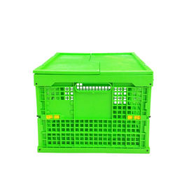 Caixa de dobramento plástica verde personalizada Mesh Body dos PP + parte inferior contínua