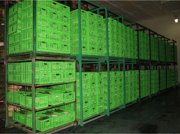 Armazenamento dobrável plástico agrícola 600*400 personalizado caixa milímetro