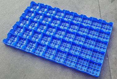 Mesh Floor Plastic Export Pallets que conecta a capacidade de carregamento alta de limpeza fácil