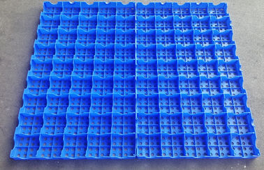 Mesh Floor Plastic Export Pallets que conecta a capacidade de carregamento alta de limpeza fácil