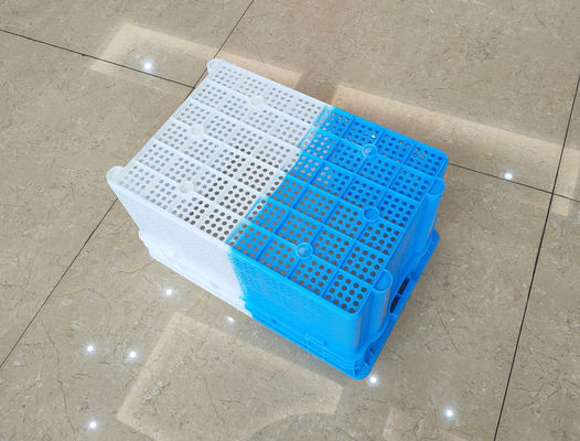 Cor dobro que envia caixas plásticas Nestable para frutas e legumes