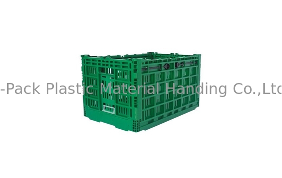 Grande caixa plástica dobrável verde feita sob encomenda para o material vegetal dos PP do Virgin do fruto