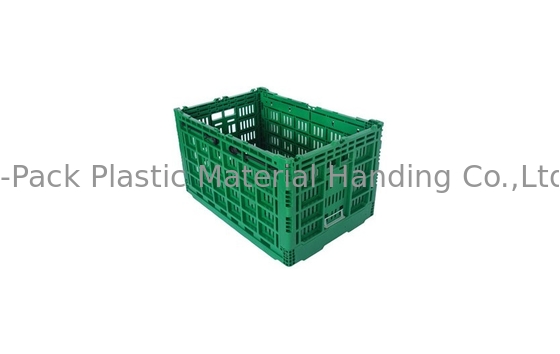 Grande caixa plástica dobrável verde feita sob encomenda para o material vegetal dos PP do Virgin do fruto