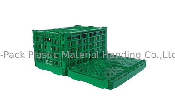 do Virgin 3.4kg dos PP das frutas e legumes caixas 100% de plástico resistentes