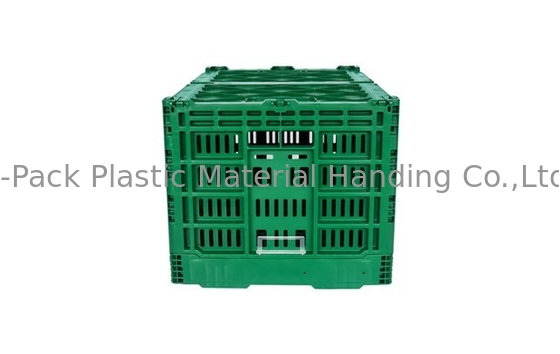 do Virgin 3.4kg dos PP das frutas e legumes caixas 100% de plástico resistentes