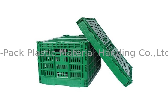 do Virgin 3.4kg dos PP das frutas e legumes caixas 100% de plástico resistentes