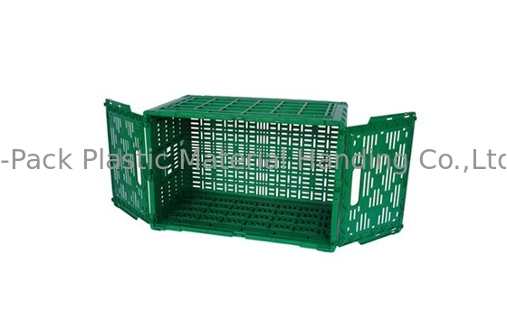 do Virgin 3.4kg dos PP das frutas e legumes caixas 100% de plástico resistentes
