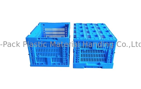 Caixas de plástico azuis pequenas das frutas e legumes do tamanho 400*300mm