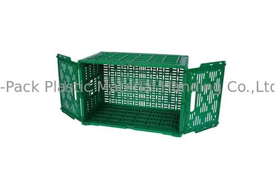 do Virgin 3.4kg dos PP das frutas e legumes caixas 100% de plástico resistentes